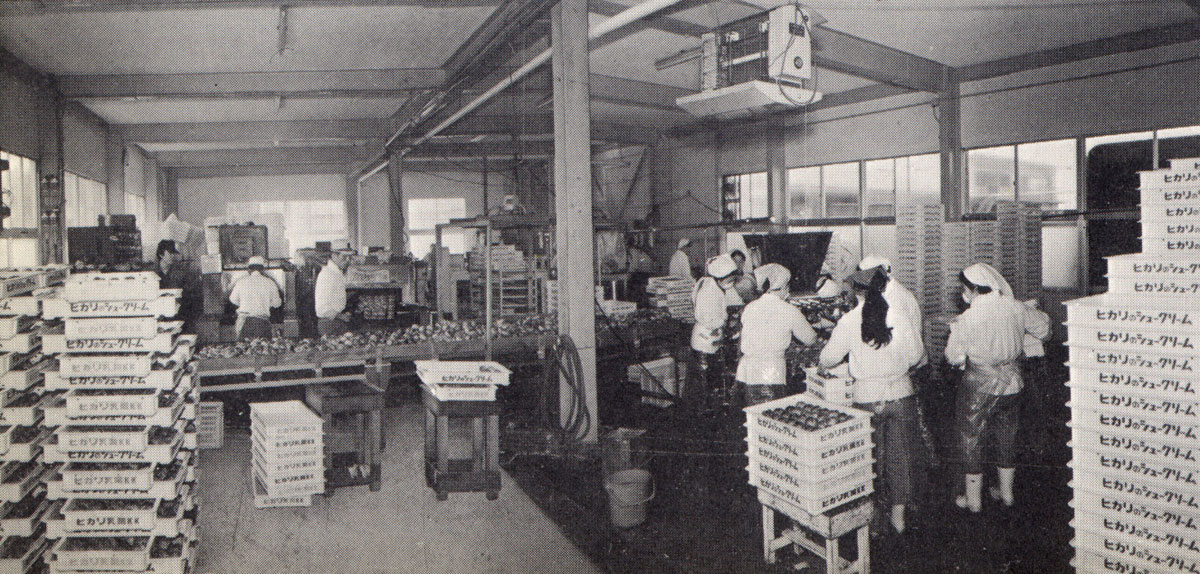 シュークリーム工場