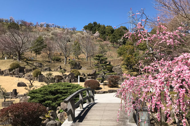 冠梅園（冠山総合公園）