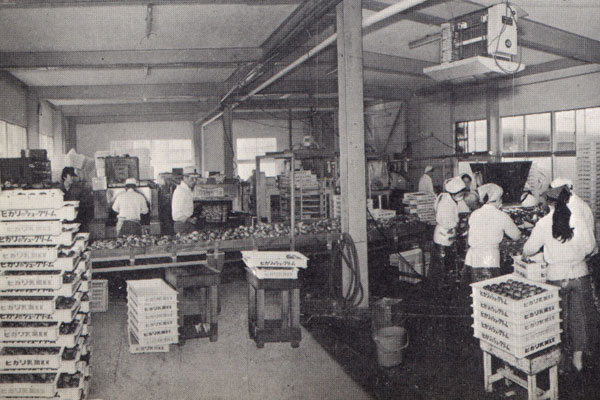 昭和43年当時の工場